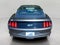 2015 Ford Mustang 2dr Fastback GT Premium