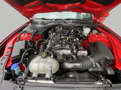 2021 Ford Mustang EcoBoost Fastback