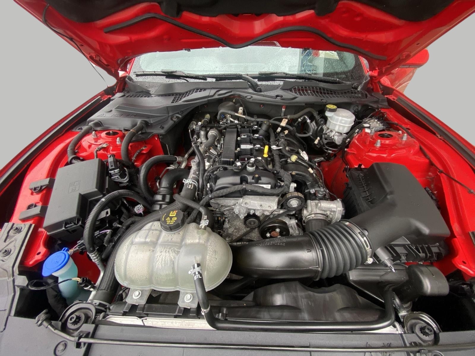 2021 Ford Mustang EcoBoost Fastback