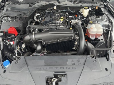 2024 Ford Mustang EcoBoost Premium Fastback