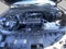 2024 Ford Explorer XLT 4WD