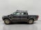 2020 Ford Ranger XLT 4WD SuperCrew 5' Box