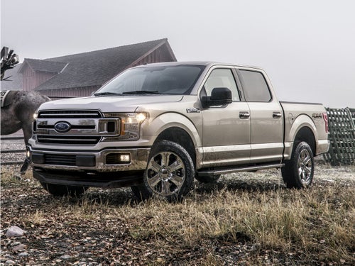 2019 Ford F-150 XL 4WD SuperCrew 5.5' Box