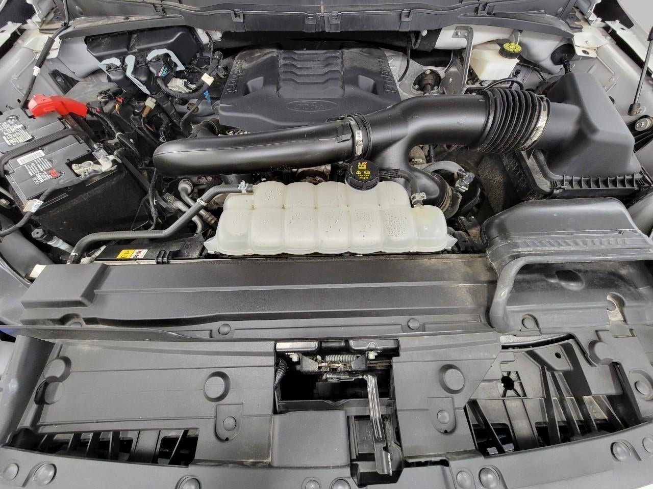 2023 Ford F-150 Tremor 4WD SuperCrew 5.5' Box
