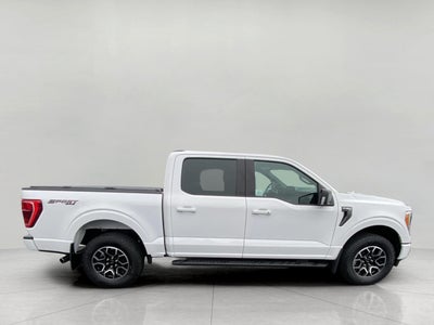 2023 Ford F-150 XLT 4WD SuperCrew 5.5' Box