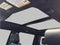 2024 Ford F-150 Raptor 4WD SuperCrew 5.5' Box