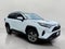 2025 Toyota RAV4 XLE AWD