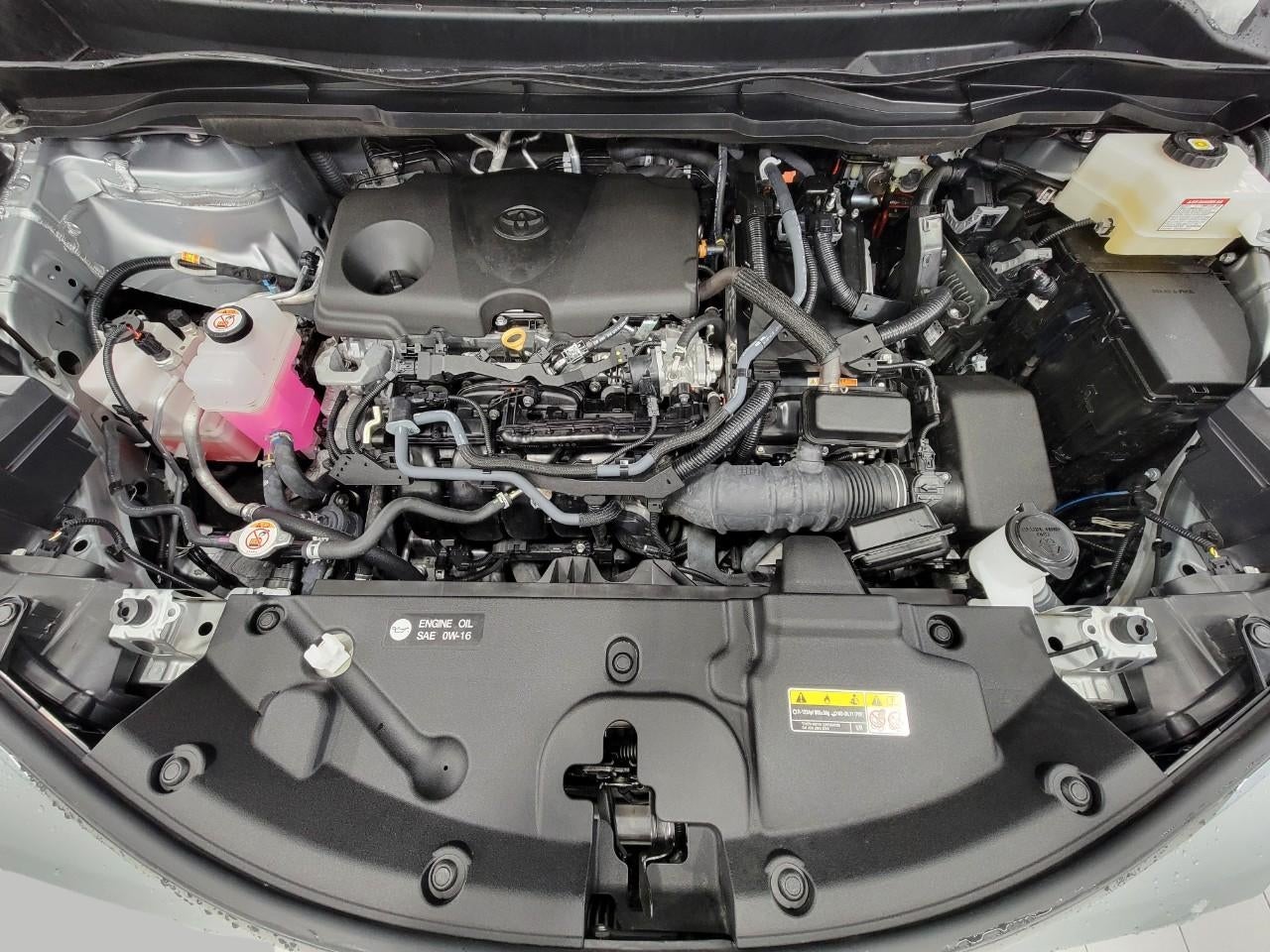 2025 Toyota Sienna LE 8 Passenger